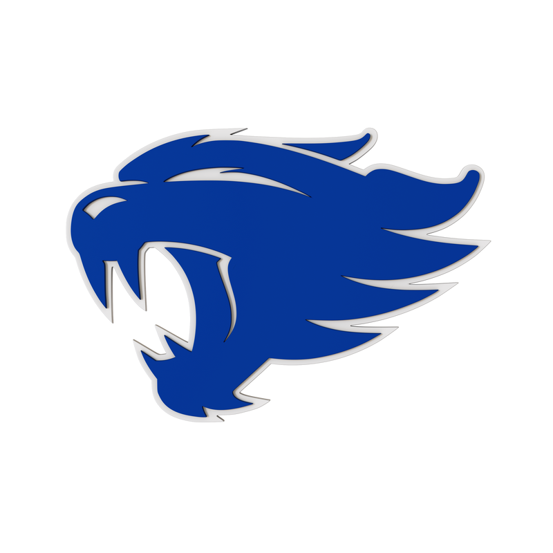 Kentucky Wildcats
